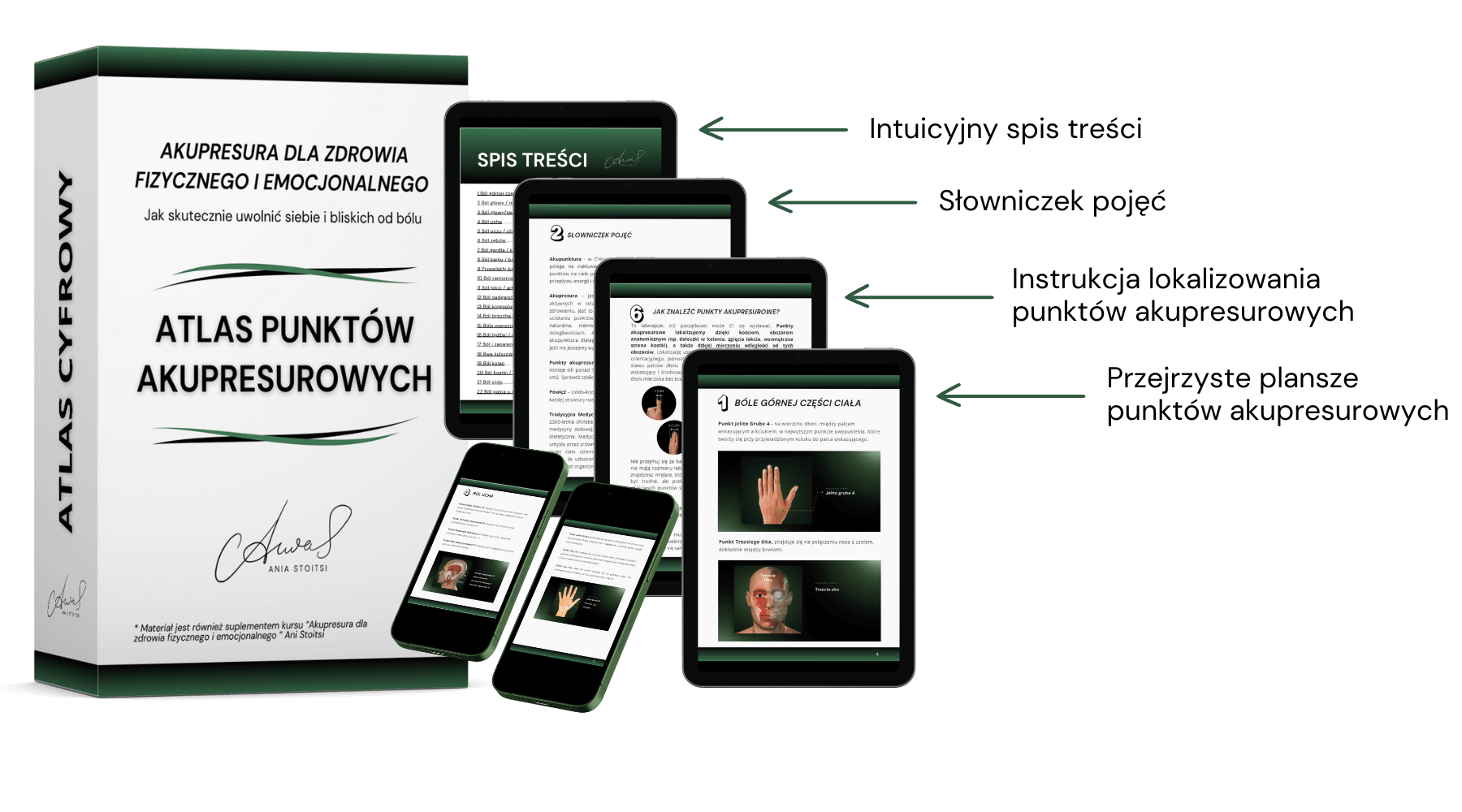 Cyfrowy Atlas punktów akupresurowych - obrazek 2